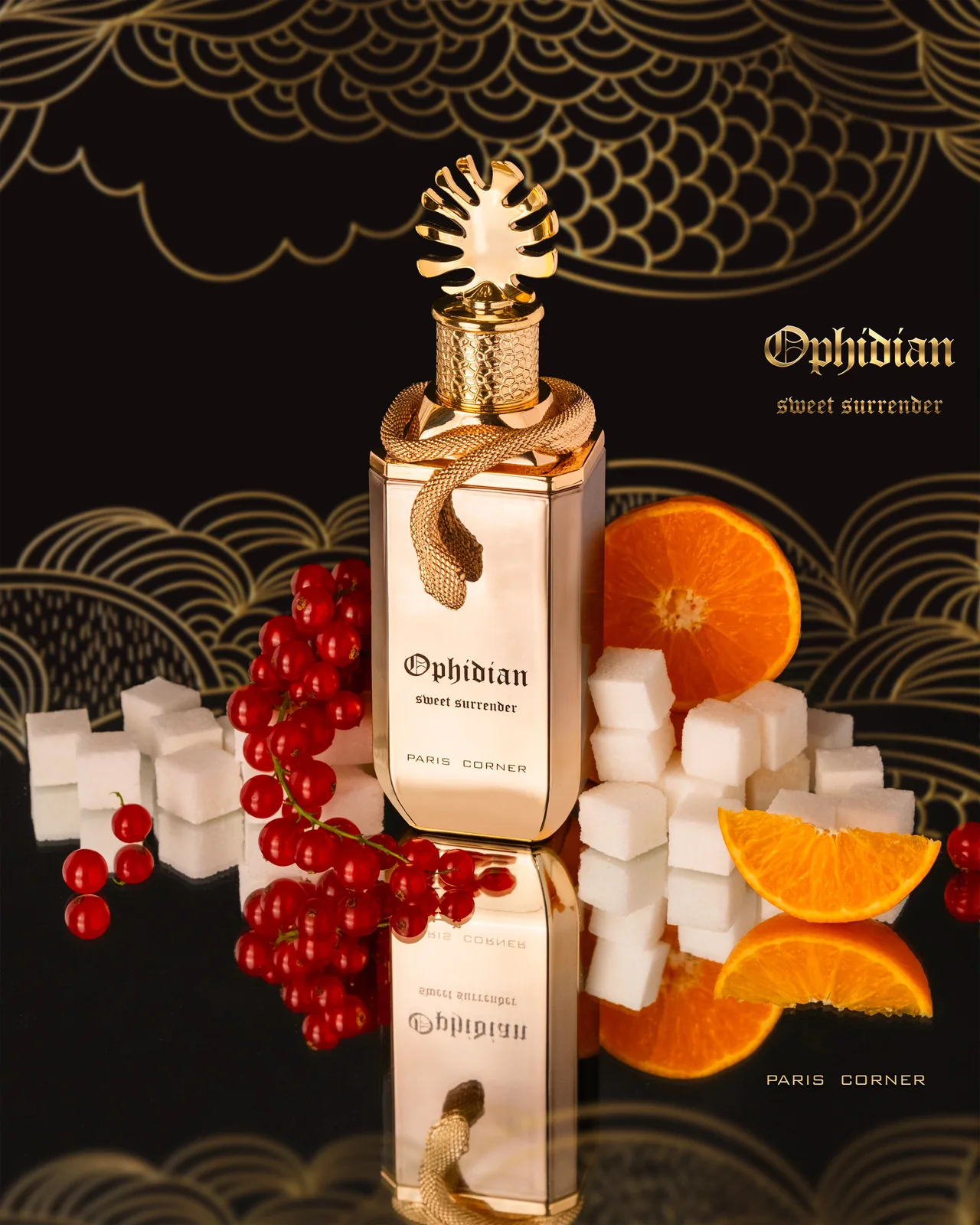 Paris Corner Ophidian sweet surrender
