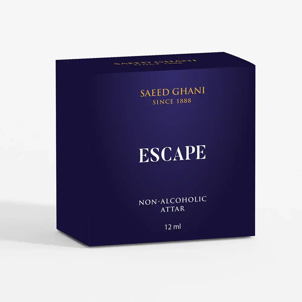 Saeed Ghani Escape